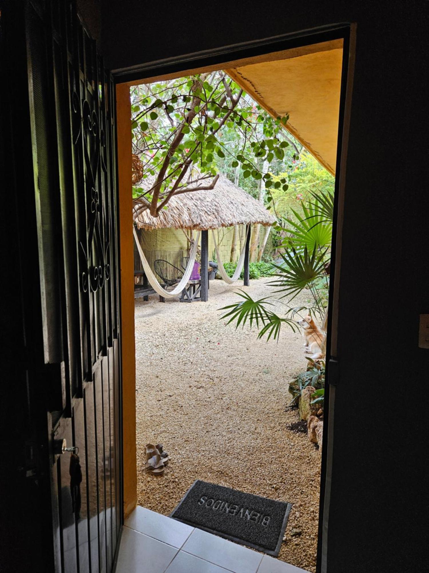 Jungla Bacalar Apartment Exterior photo